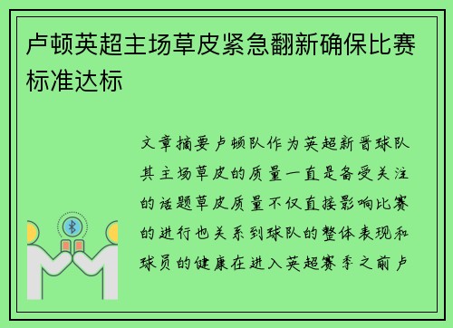卢顿英超主场草皮紧急翻新确保比赛标准达标